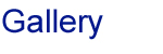 Gallery of our work
